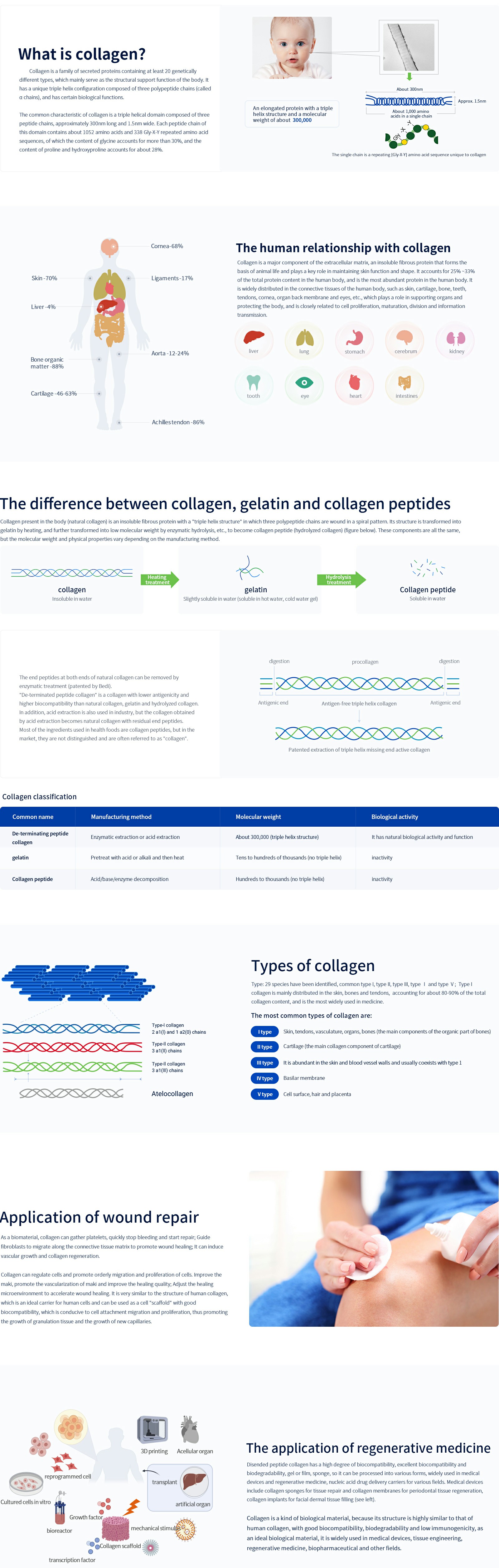 What is collagen.jpg