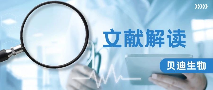 文献解读 | 胶原蛋白海绵—脊柱融合手术中的止血利器